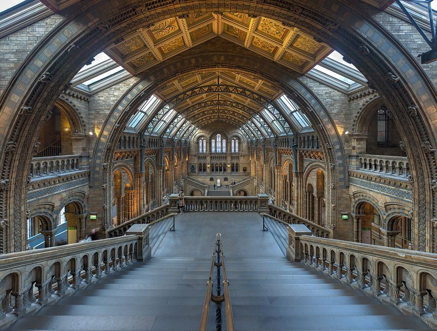 The vaulted main hall of the Natural History Museum in London